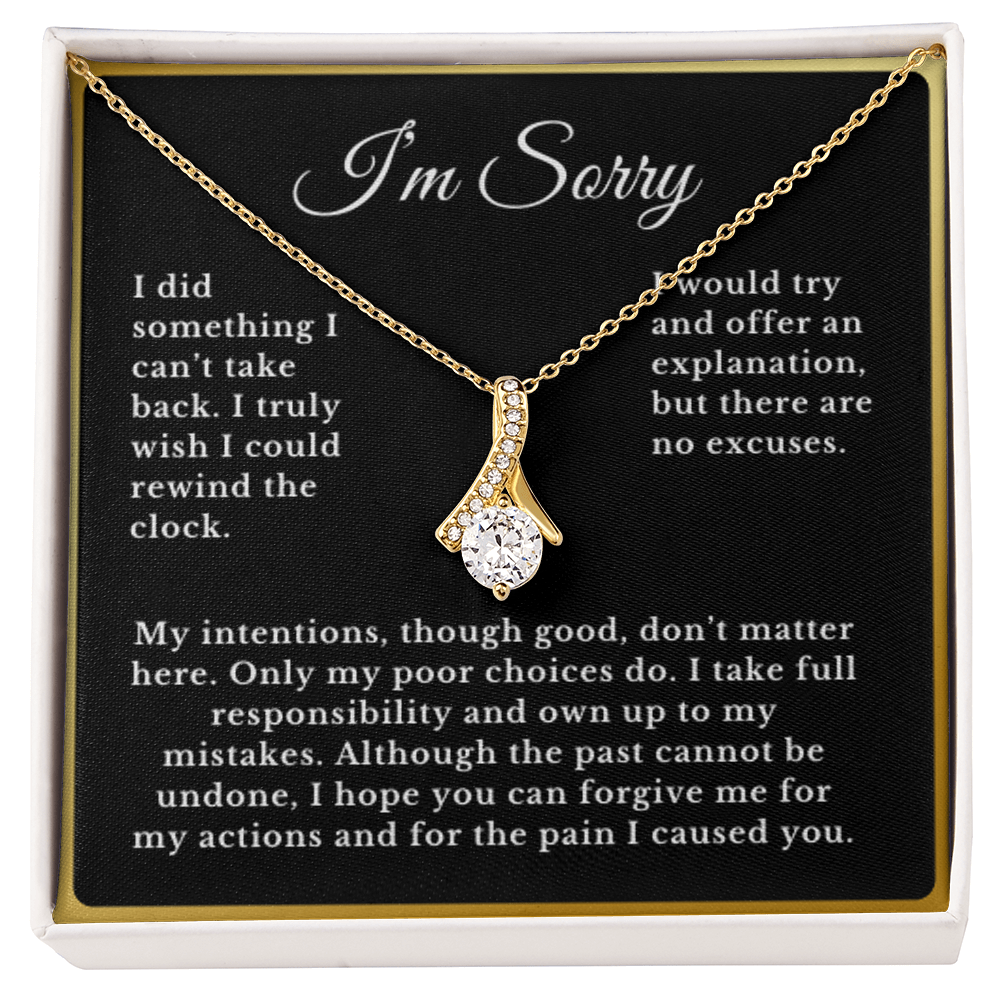 Apology Gift Necklace Message, I'm Sorry Card with Jewelry