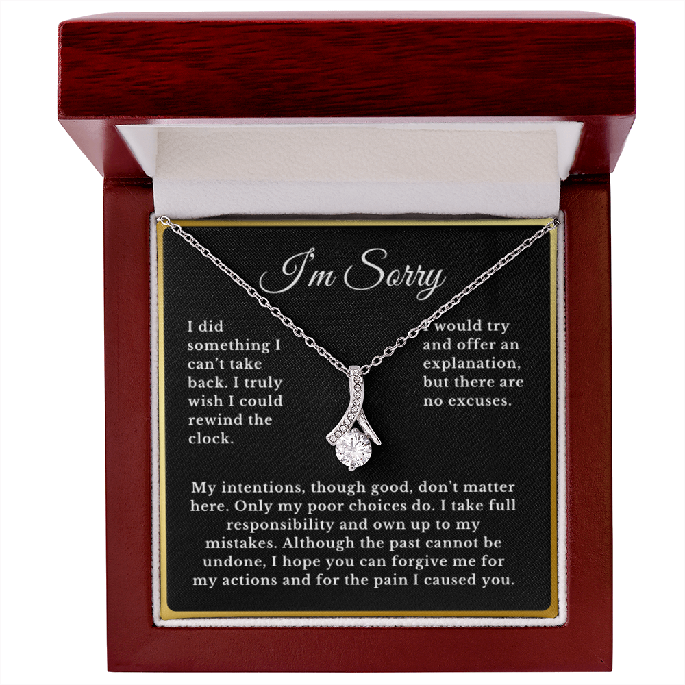 Apology Gift Necklace Message, I'm Sorry Card with Jewelry