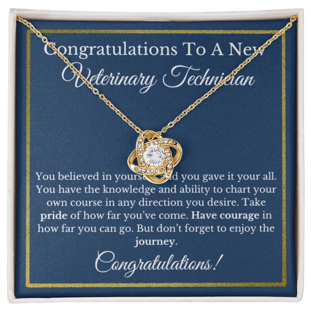 Veterinary Technician Graduation Gift, VT Jewelry, Healthcare Necklace.