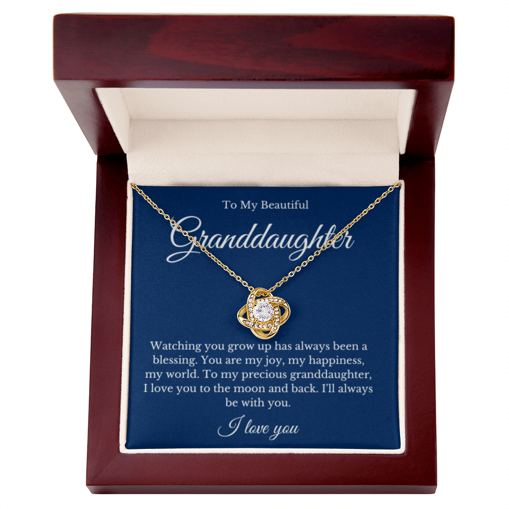 Grandparent Granddaughter Necklace, Grandparent Gift, Daughter Gift, Jewelry for Granddaughter, Message Card Necklace, Christmas Gift