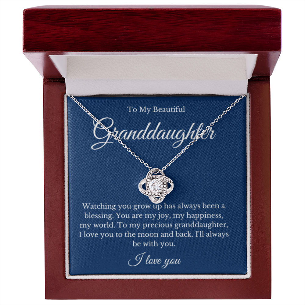 Grandparent Granddaughter Necklace, Grandparent Gift, Daughter Gift, Jewelry for Granddaughter, Message Card Necklace, Christmas Gift